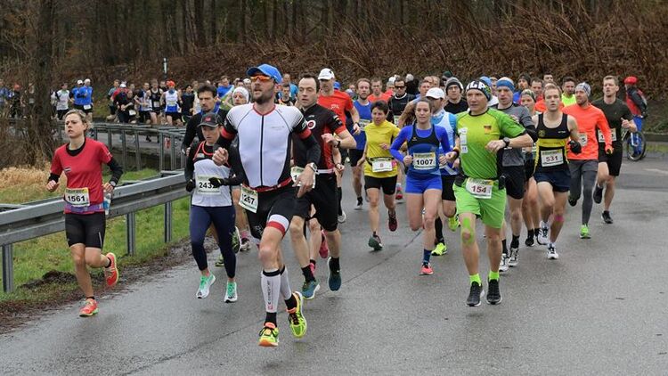 Rückblick auf den Bienwald-Marathon Kandel 2019