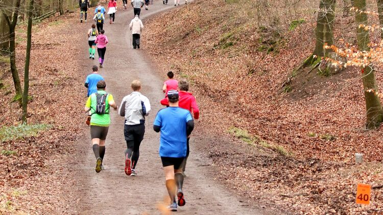 Bis zu 999 Marathonläufer starten im Königsforst