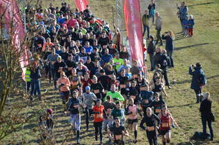 Lake Run Trendelburg