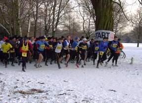 BSV Hamburg Wald- und Crosslaufserie 3