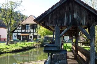 Reichenbacher Wandermarathon und Trail-Running
