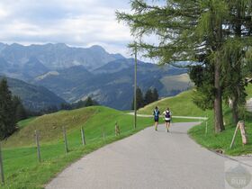 Trans Swiss Run